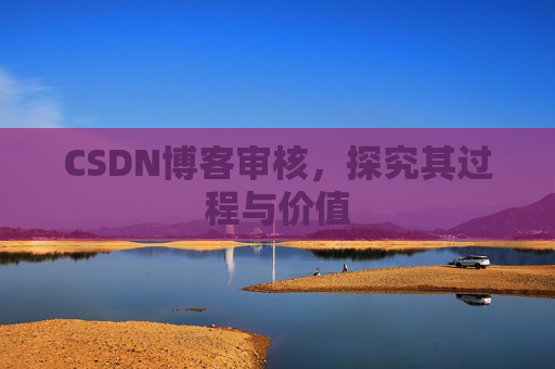 CSDN博客审核，探究其过程与价值